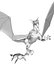 duo dragon.obj