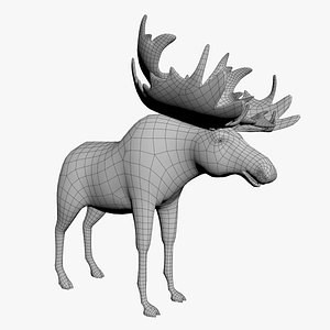 Moose 3D model