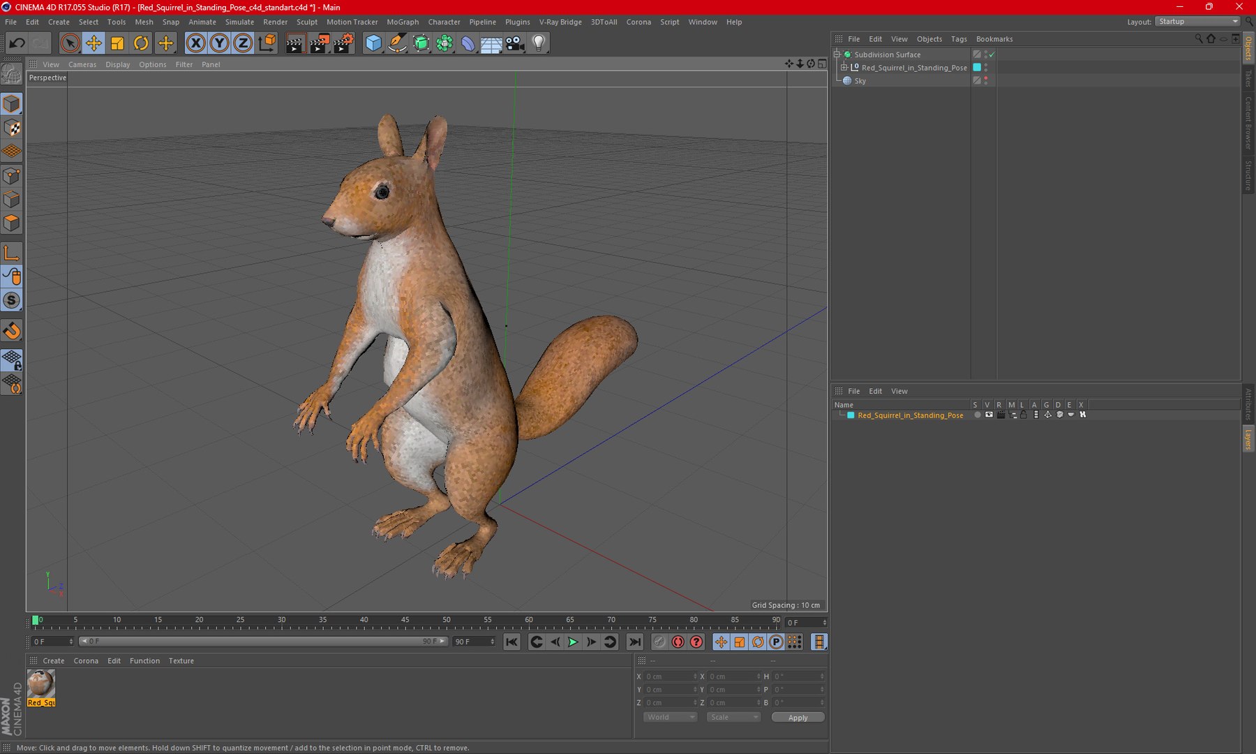 3D Red Squirrel In Standing Pose - TurboSquid 2269722