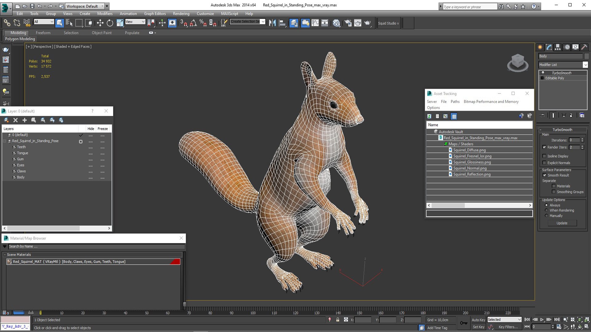 3D Red Squirrel In Standing Pose - TurboSquid 2269722