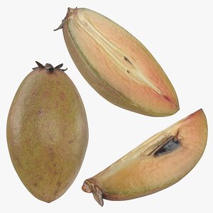 3D Sapodilla Collection