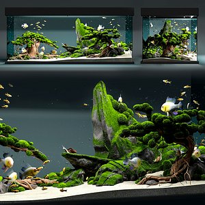 Aquarium snail king