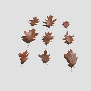 Dry Red Oak Leaves Pack 3D