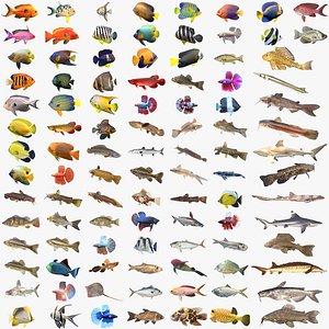 100 Fish Sea Creatures Collection v2 3D model