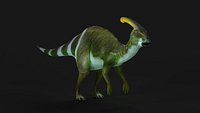 Parasaurolophus Dinosaur Cretaceous Herbivore Carnivore