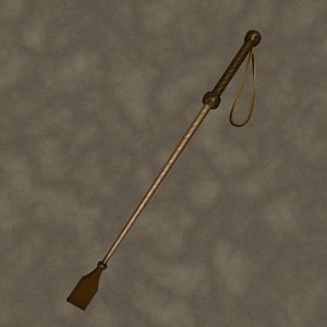 riding crop zipped max