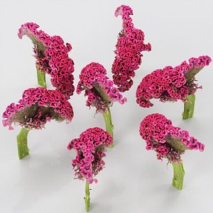 flower 3D model