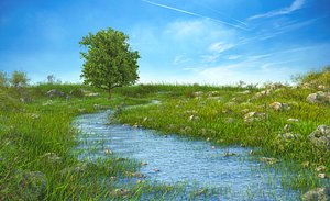 River Meadow