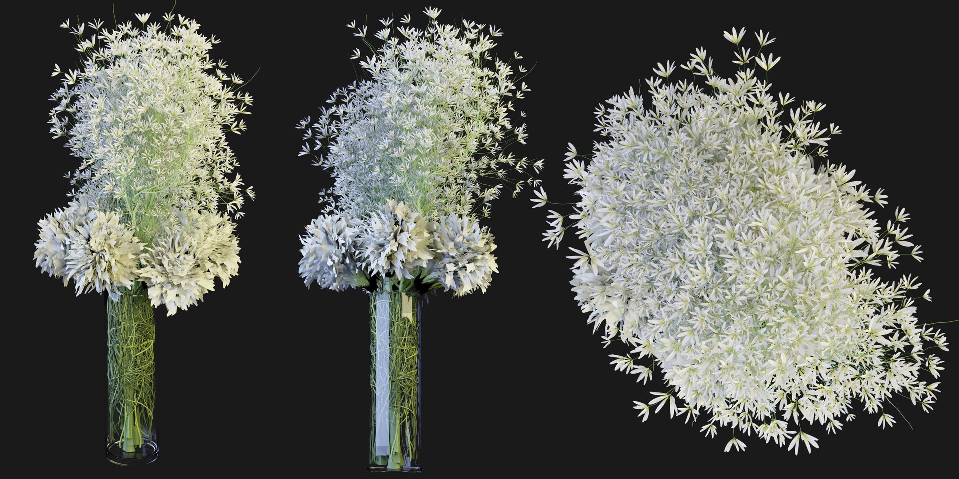 Collection plant vol 151 - blender 3D model - TurboSquid 2086017