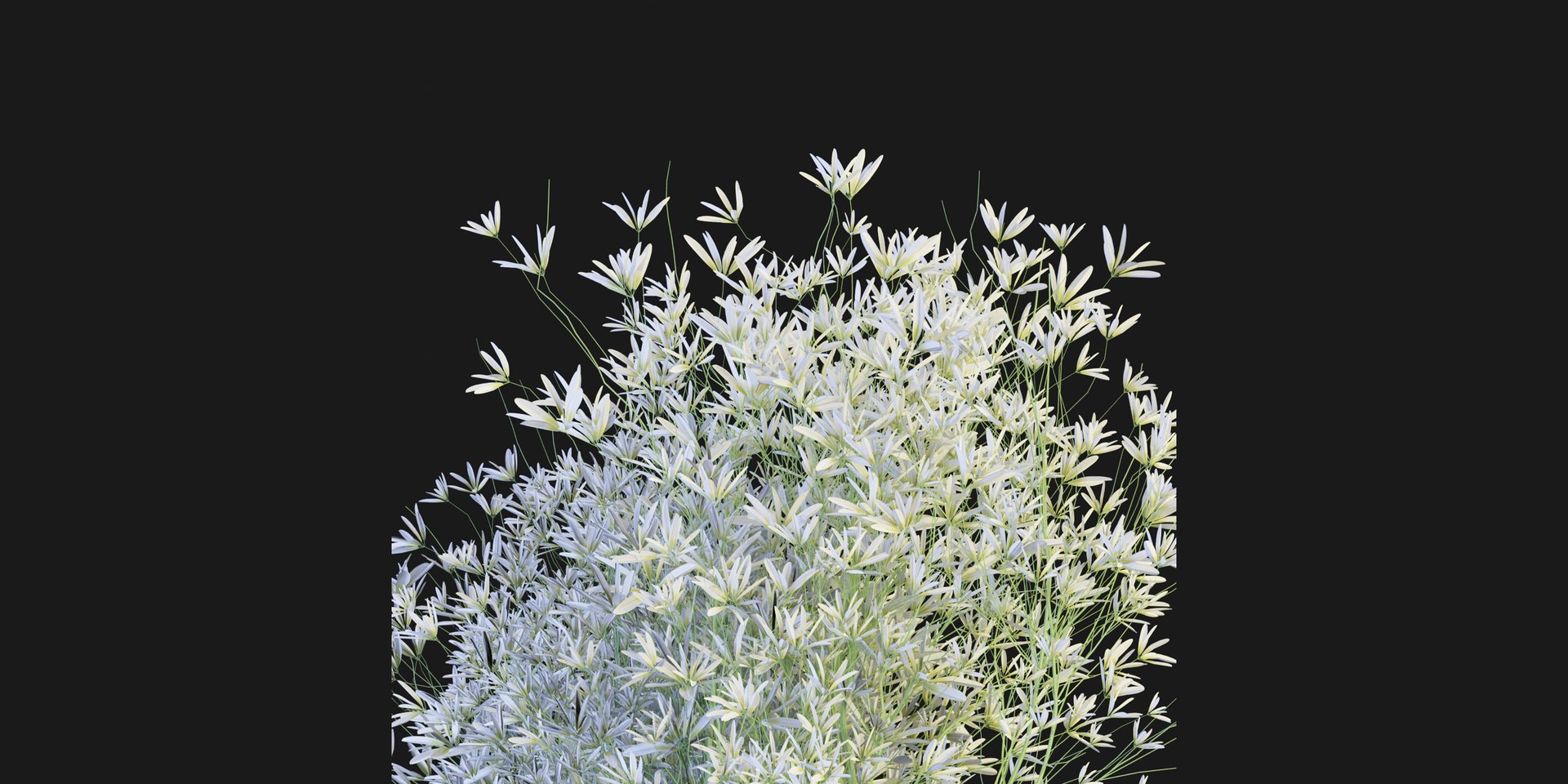 Collection plant vol 151 - blender 3D model - TurboSquid 2086017