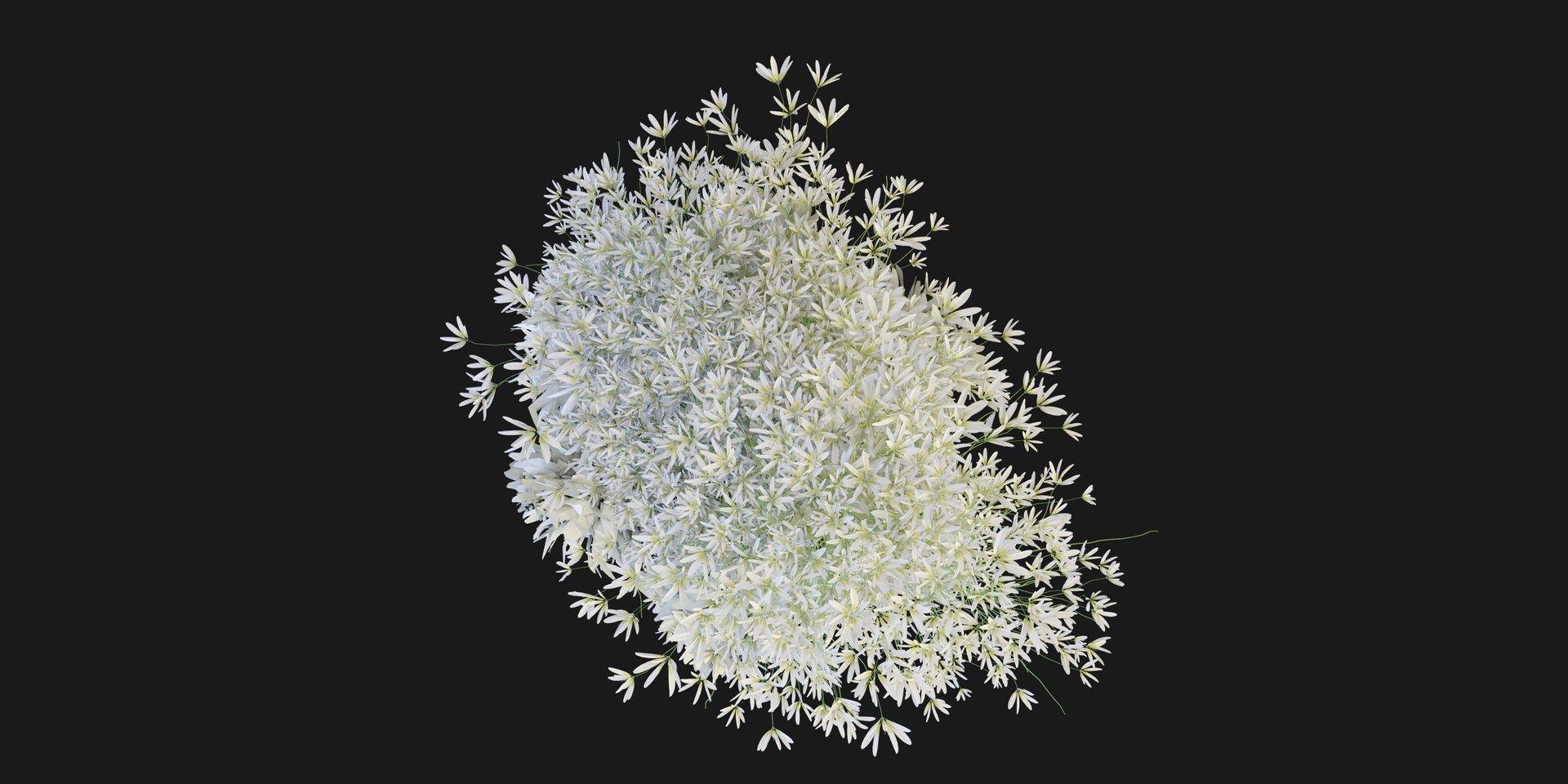 Collection plant vol 151 - blender 3D model - TurboSquid 2086017