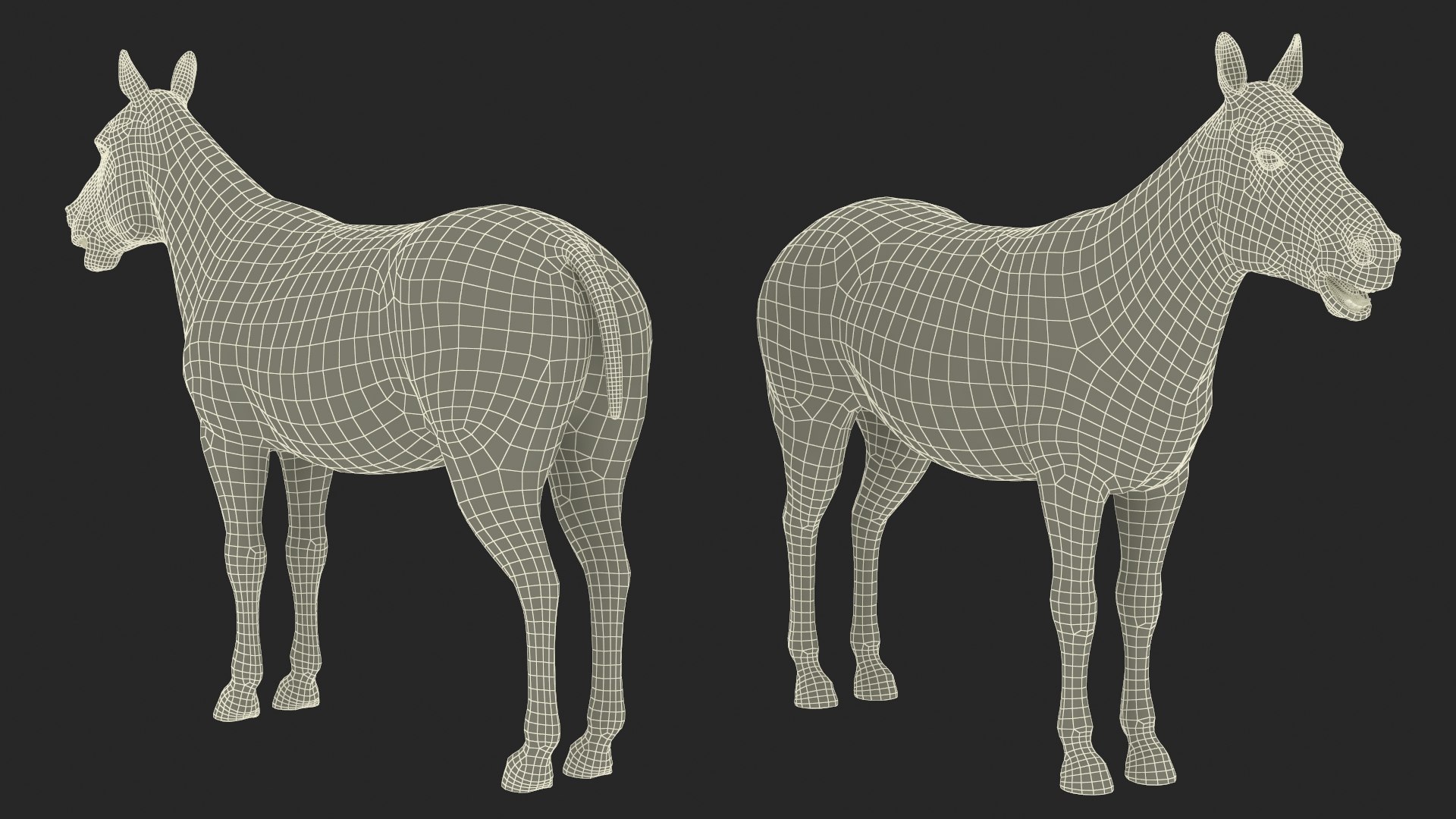 3D African Zebra Fur For Maya - TurboSquid 2380992