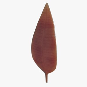 Charniodiscus