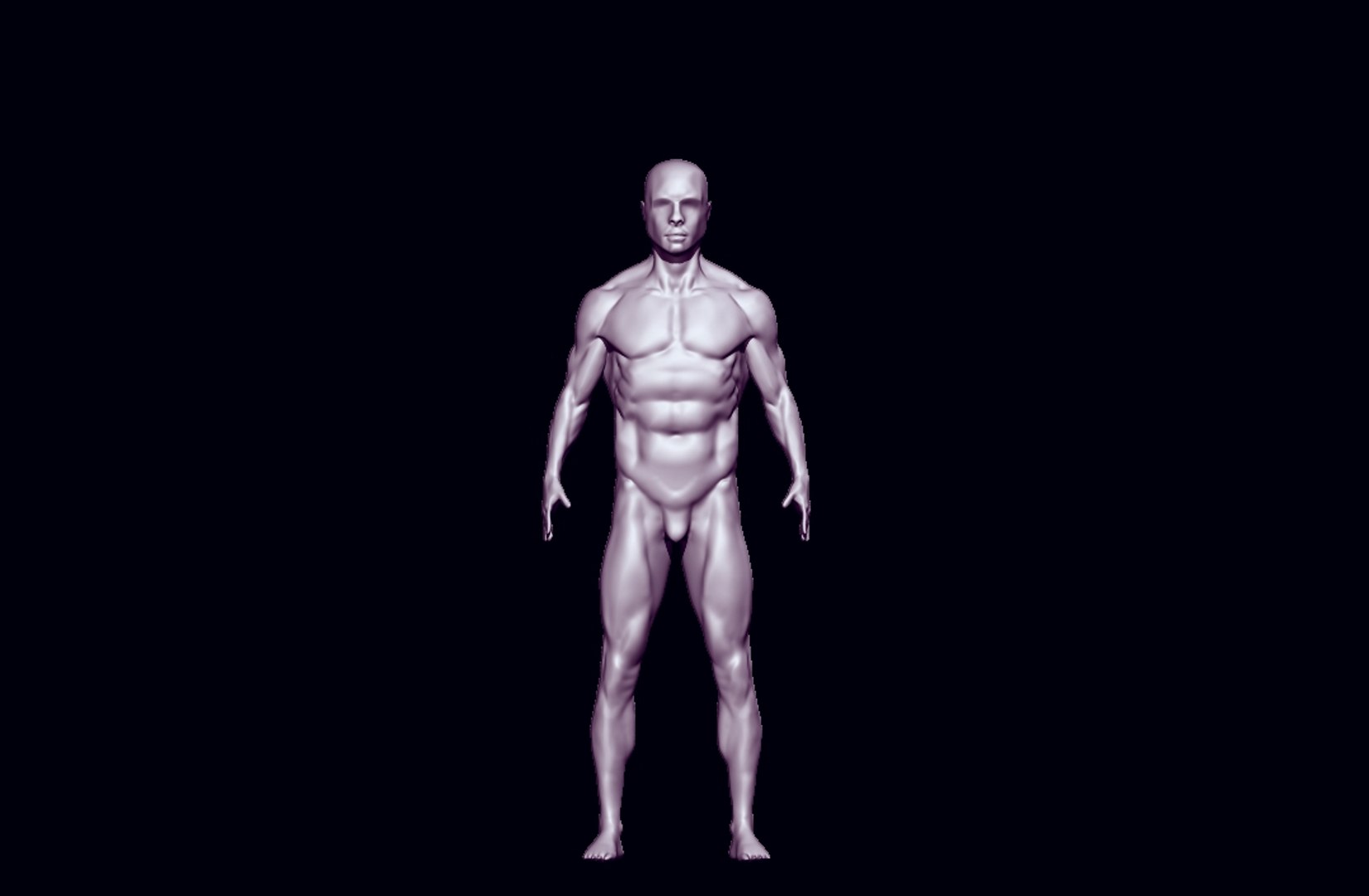 3D anatomy base mesh https://p.turbosquid.com/ts-thumb/mo/1nd4Vb/4ZyyW5VU/vxcvxcv/jpg/1585743278/1920x1080/fit_q87/cdf6869fcf7db7592684d45d4bff80a4ec77619c/vxcvxcv.jpg