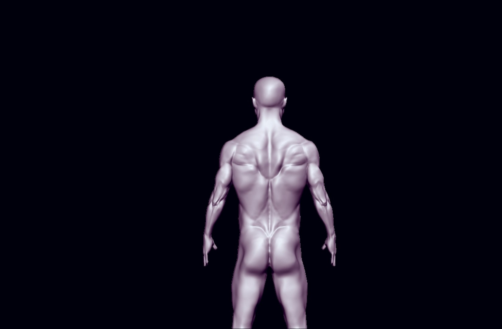 3D anatomy base mesh https://p.turbosquid.com/ts-thumb/mo/1nd4Vb/igMuwKPv/ddszd/jpg/1585743303/1920x1080/fit_q87/25b7a5b98df5c9ab64c9894d377b8275314bfd65/ddszd.jpg