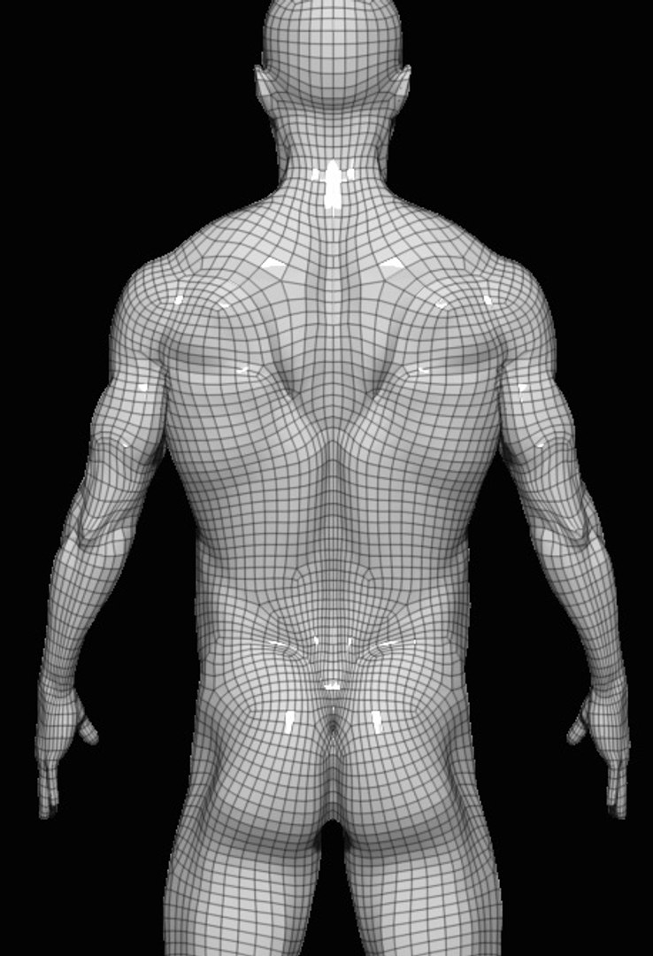 3D anatomy base mesh https://p.turbosquid.com/ts-thumb/mo/1nd4Vb/nX3jNpCy/w3/jpg/1586425683/1920x1080/fit_q87/05fe0ba99144675595b763d9d9a9c633a4dd05f0/w3.jpg