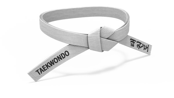 modelo 3d Cinturon de Taekwondo de cintura blanca Obi TurboSquid 2134129