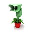 Plante carnivore