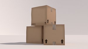 3D Cardboard Box 1