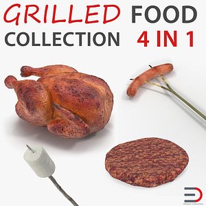 Grilled and Camping Food Collection