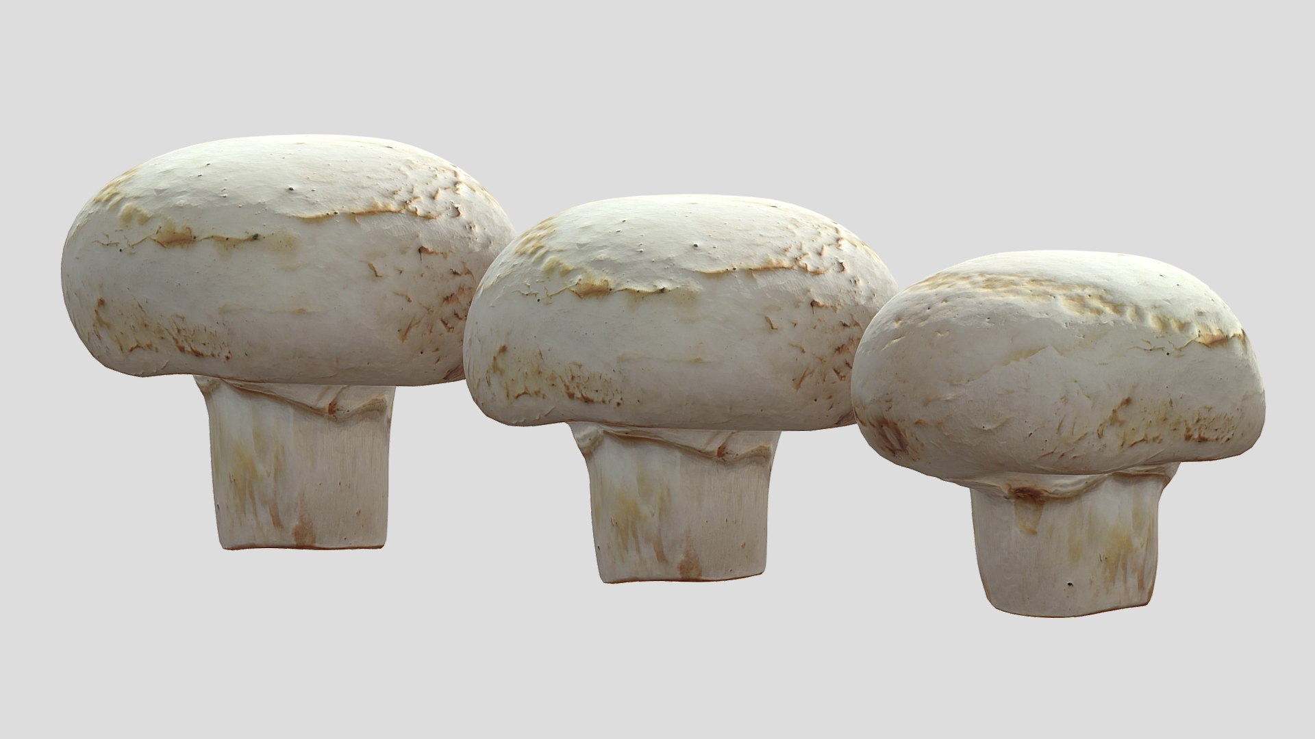 3D White Button Mushroom Low Poly - TurboSquid 2367644