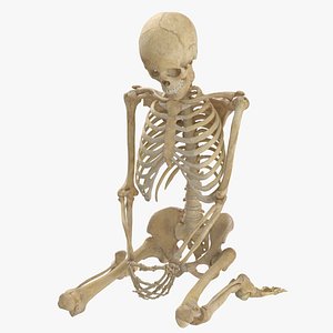 Real Human Female Skeleton Pose 105(1) 3D model
