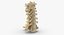Real Human Female Skeleton Pose 105
