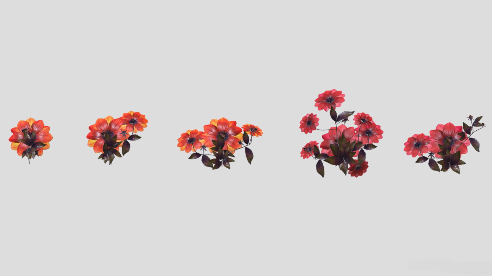 3D Dahlia Bishop Flower Low Poly https://p.turbosquid.com/ts-thumb/mo/W2C57F/9I/dahliabishopflowerlowpoly009/jpg/1733131715/1920x1080/fit_q87/9f245966d0e09caeb7dc0c71394055d142164fde/dahliabishopflowerlowpoly009.jpg