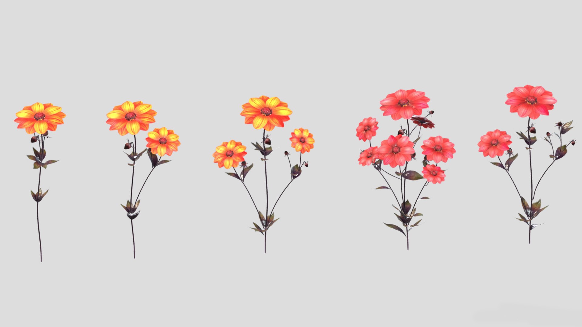 3D Dahlia Bishop Flower Low Poly https://p.turbosquid.com/ts-thumb/mo/W2C57F/Ct/dahliabishopflowerlowpoly001/jpg/1733131709/1920x1080/fit_q87/d96095a9d8d212361ce75dead55adfc779675e6f/dahliabishopflowerlowpoly001.jpg