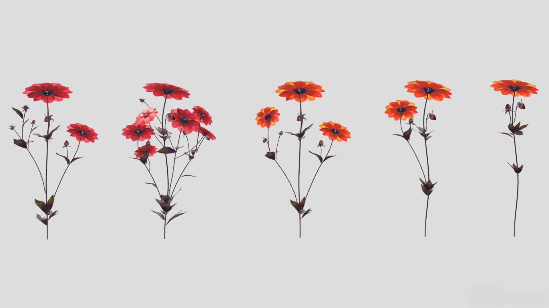 3D Dahlia Bishop Flower Low Poly https://p.turbosquid.com/ts-thumb/mo/W2C57F/Xn/dahliabishopflowerlowpoly010/jpg/1733131715/1920x1080/fit_q87/412cf56ec20ac4d0fa9b1e635f251a996828966b/dahliabishopflowerlowpoly010.jpg