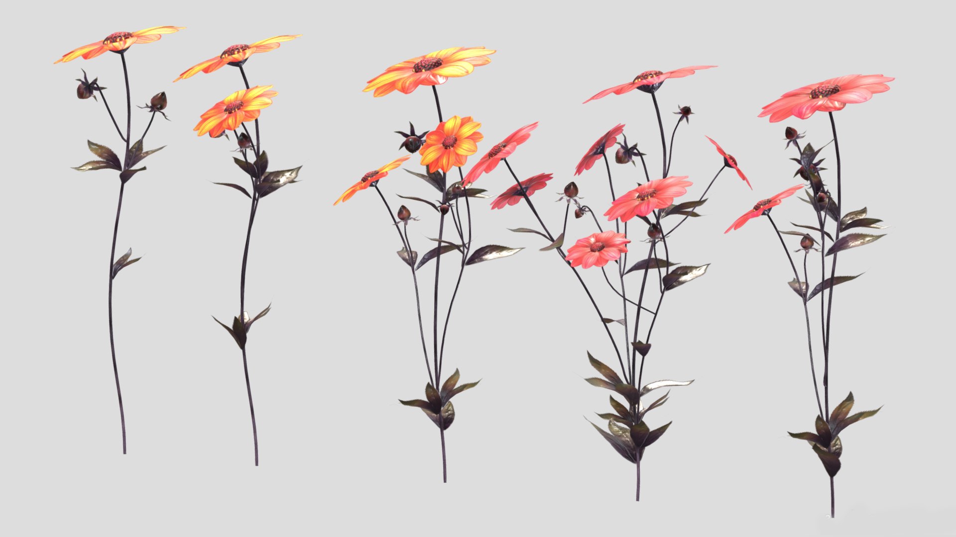 3D Dahlia Bishop Flower Low Poly https://p.turbosquid.com/ts-thumb/mo/W2C57F/Xr/dahliabishopflowerlowpoly005/jpg/1733131712/1920x1080/fit_q87/e07c03389ac6308af20611029fc0503287d3b1ee/dahliabishopflowerlowpoly005.jpg