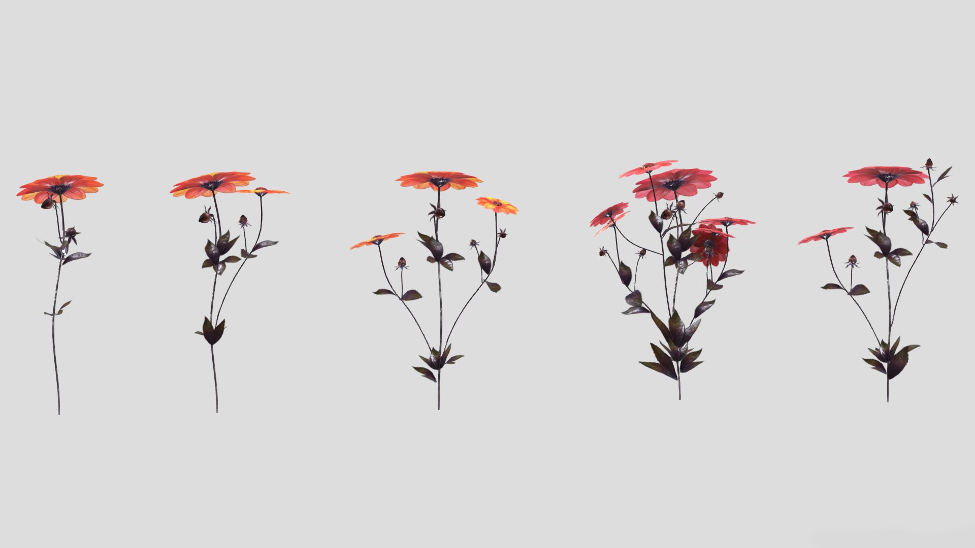 3D Dahlia Bishop Flower Low Poly https://p.turbosquid.com/ts-thumb/mo/W2C57F/w4/dahliabishopflowerlowpoly008/jpg/1733131713/1920x1080/fit_q87/7a8f5d4efc4d06c7c856480e38ec297bb50b4614/dahliabishopflowerlowpoly008.jpg