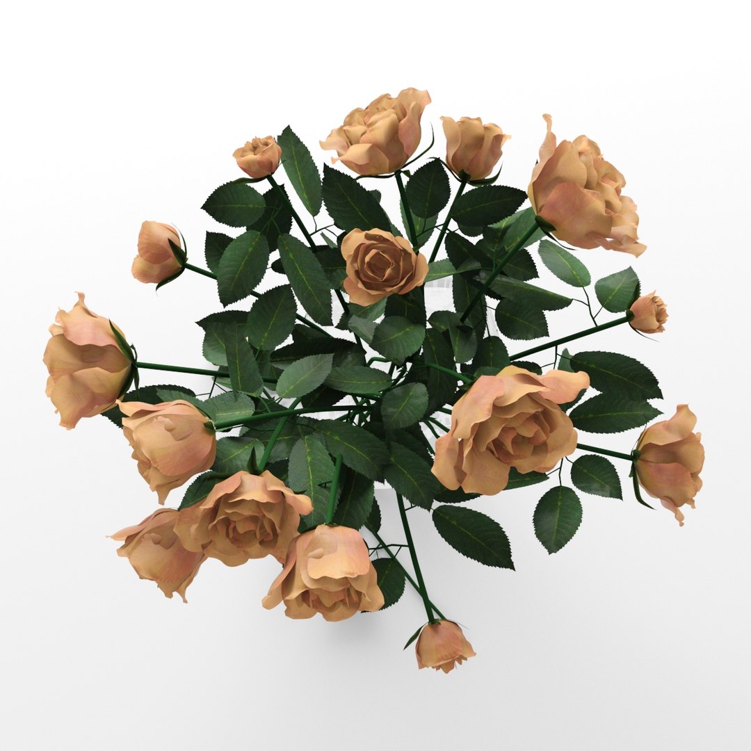 3d Bouquet Orange Roses