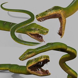 Pro Green Boa Snake - 8k - 3d animated