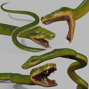 Pro Green Boa Snake - 8k - 3d animated