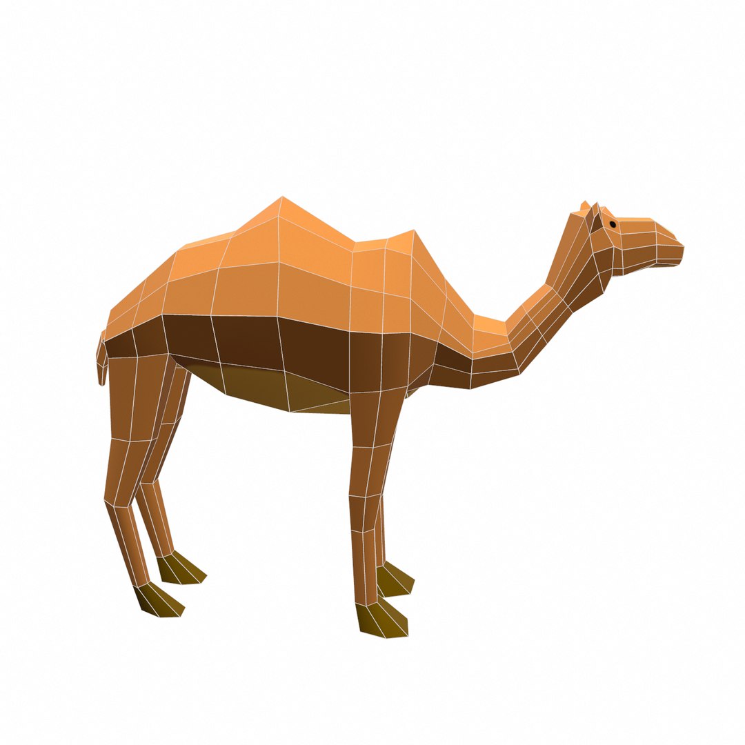 camel 3D model https://p.turbosquid.com/ts-thumb/mo/wekYKg/Xl5UL7n1/l/png/1595163164/1920x1080/fit_q87/b0a453f58eae399d99e447776020082e553e1205/l.jpg