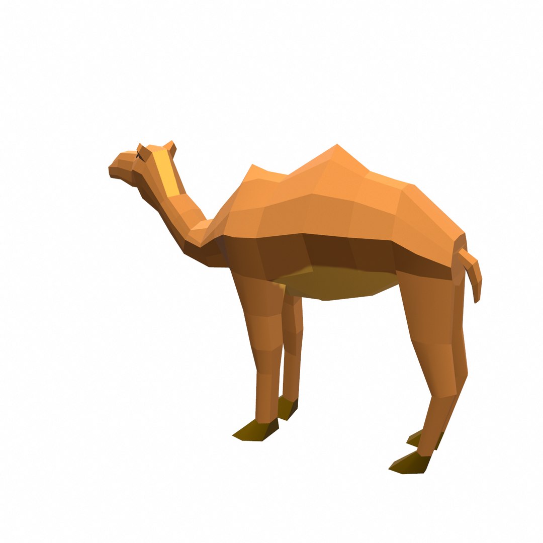 Camel 3D Model - TurboSquid 1553868