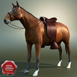 maya saddle horse