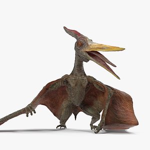 3D model pteranodon standing pose