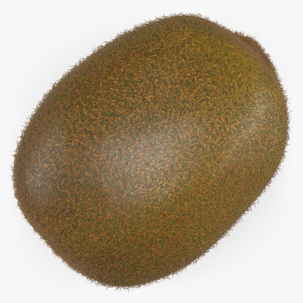 3D Kiwi with Fur model