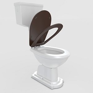 3D toilet modeled