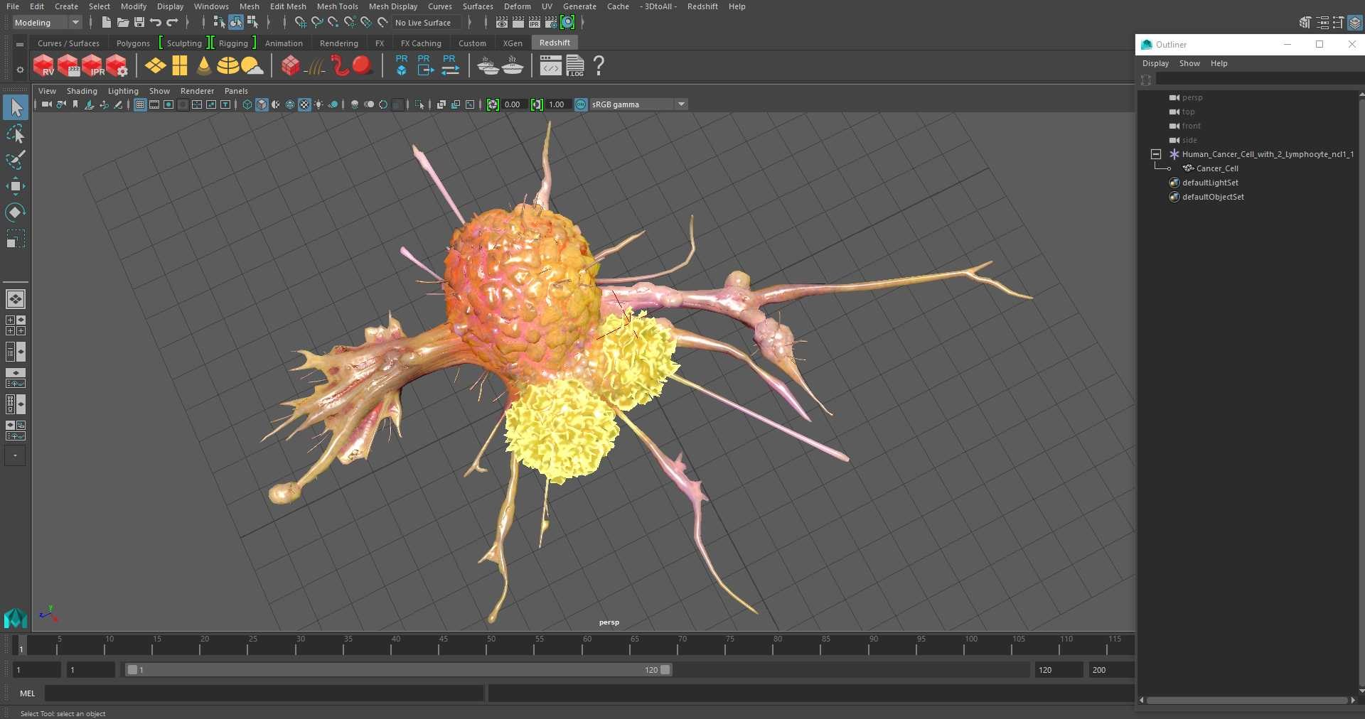 3D Model Human Cancer Cell With 2 Lymphocyte - TurboSquid 2220676