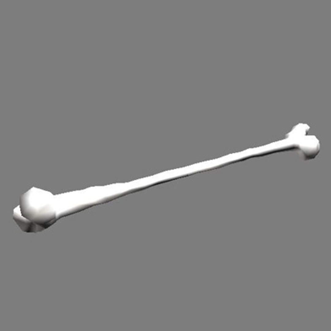 bone obj https://p.turbosquid.com/ts-thumb/mp/5OM3jh/KRcnJ6kM/capture_07132005_182908/jpg/1121272325/1920x1080/fit_q87/1816082b5e3db2bd44bb6ff0937577a277defc2c/capture_07132005_182908.jpg