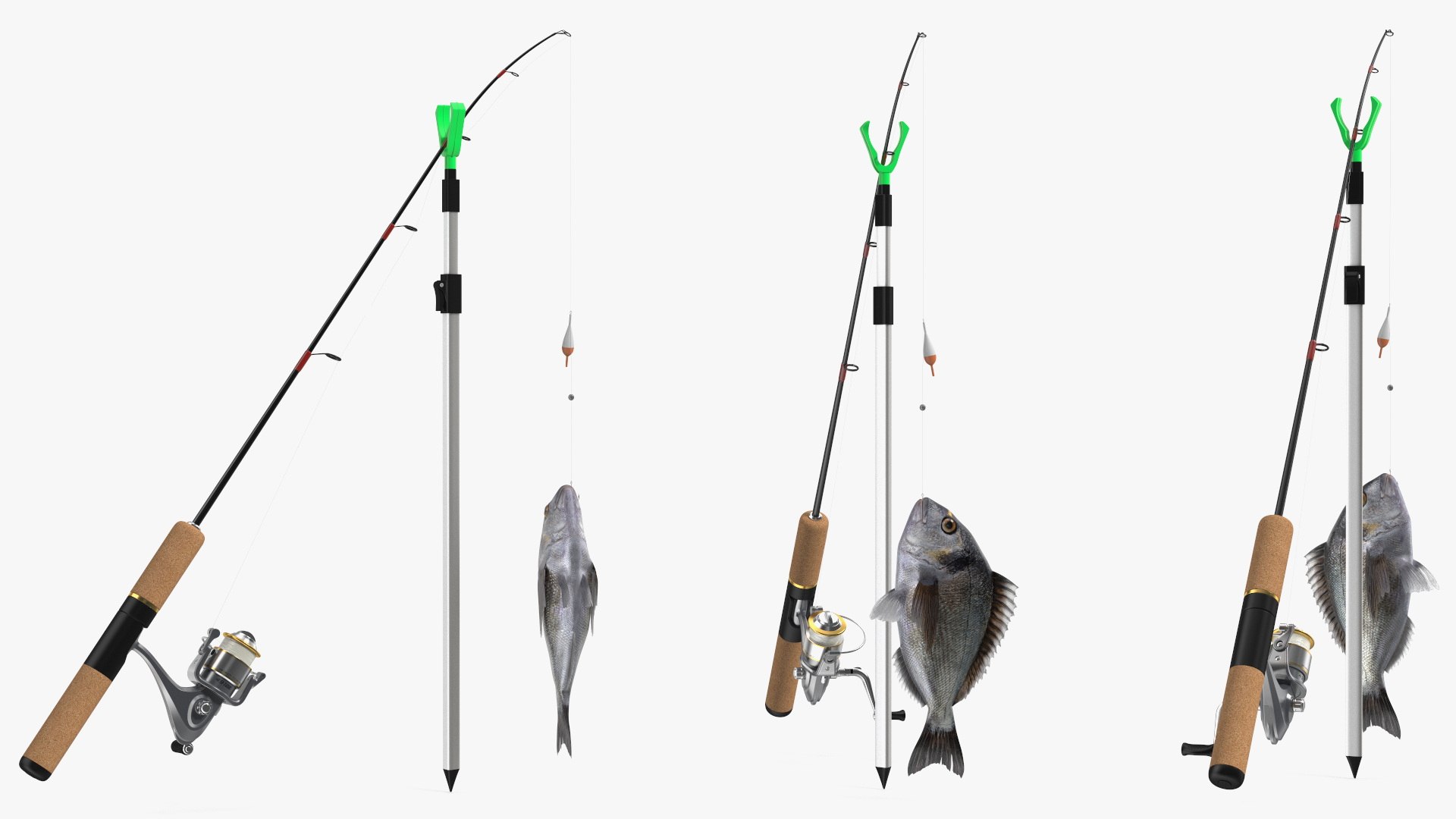 Fishing Rod with Caught Dorado 3D model https://p.turbosquid.com/ts-thumb/mp/9ksFTu/ET/fishing_rod_with_caught_dorado_004/jpg/1754355407/1920x1080/fit_q87/49d3aef273b533455136fdee5d6804658d122de7/fishing_rod_with_caught_dorado_004.jpg