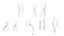 Interphase Chromosome Replication