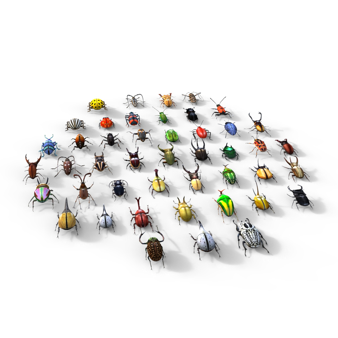 3ds max beetle leptinotarsa decemlineata https://p.turbosquid.com/ts-thumb/mp/RQOXHA/FNoGwVfy/beetles/jpg/1409211978/1920x1080/turn_fit_q99/5ebc313445998b2292d3161ff3b2e5885f5c74ff/beetles-1.jpg