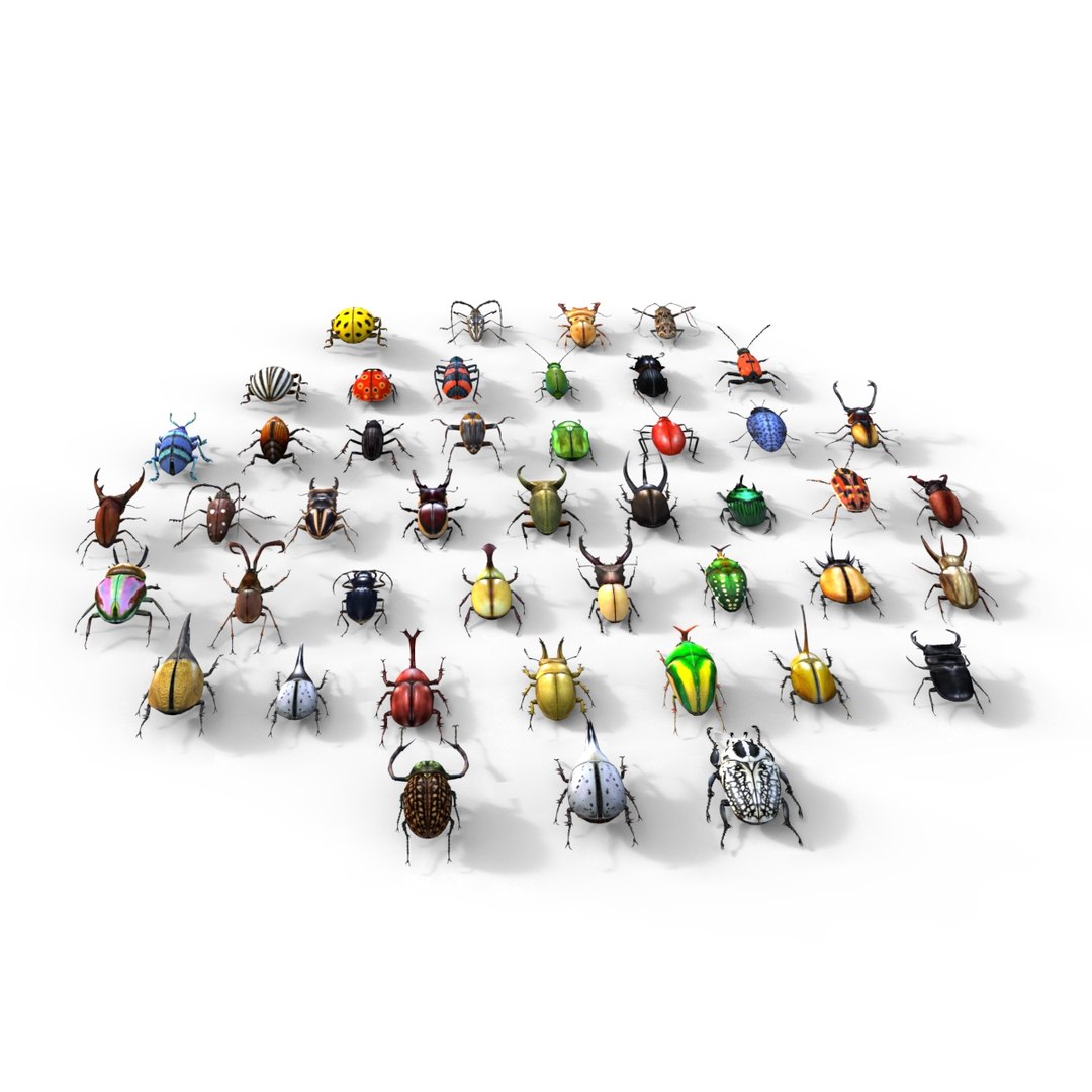 3ds max beetle leptinotarsa decemlineata https://p.turbosquid.com/ts-thumb/mp/RQOXHA/H0PCGiP1/beetles_base08/jpg/1409211215/1920x1080/fit_q87/e2e21f4f63cdda990a515671dd11b5c04e1c455b/beetles_base08.jpg