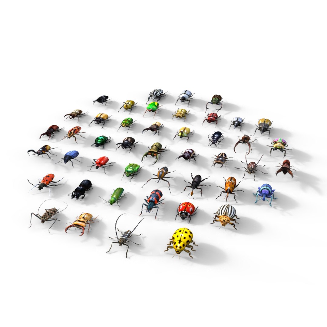 3ds max beetle leptinotarsa decemlineata https://p.turbosquid.com/ts-thumb/mp/RQOXHA/Ii3ZzSh5/beetles_base04/jpg/1409211215/1920x1080/fit_q87/3a4b86e3a7d307d06acf257f3bb20b49f529cea1/beetles_base04.jpg