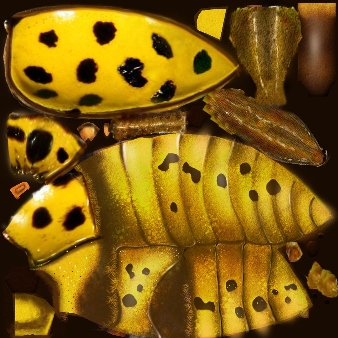 3ds max beetle leptinotarsa decemlineata https://p.turbosquid.com/ts-thumb/mp/RQOXHA/IqNlQMaT/22spotladybird/jpg/1409211835/1920x1080/fit_q87/4a2b33aa8884bed35b7d8f14614b536b6a312827/22spotladybird.jpg