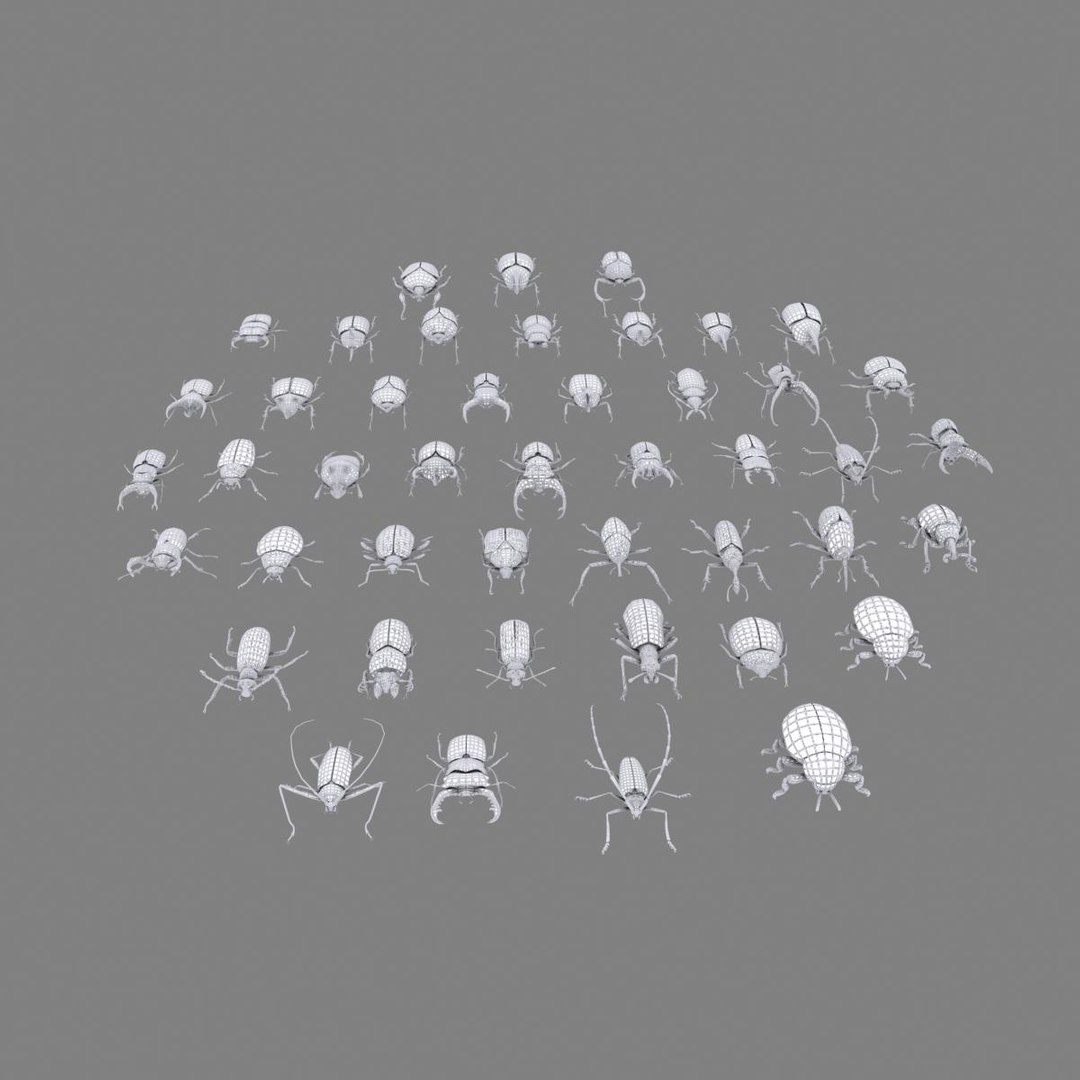 3ds max beetle leptinotarsa decemlineata https://p.turbosquid.com/ts-thumb/mp/RQOXHA/LJ1U5ldo/beetles_prime03/jpg/1409211789/1920x1080/fit_q87/1484650b6ec21c1164b3948284a7967237c9c13f/beetles_prime03.jpg